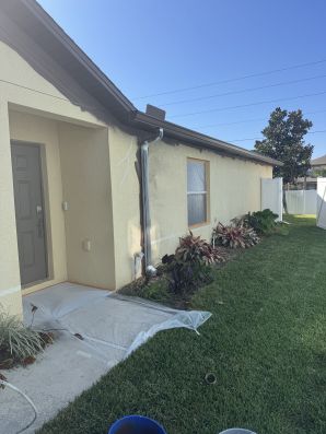House Painting in Brandon, FL (4)