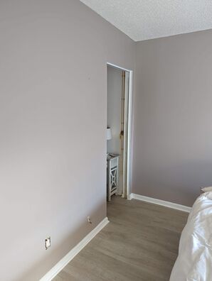 Painting Services in Valrico, FL (1)