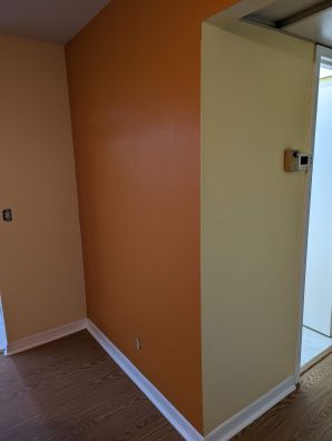 Interior Painting in Lealman, FL (1)