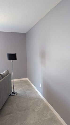 Painting Services in Palmetto, FL (2)